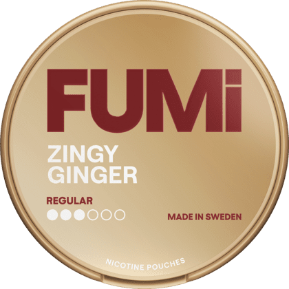 FUMi Zingy Ginger Regular