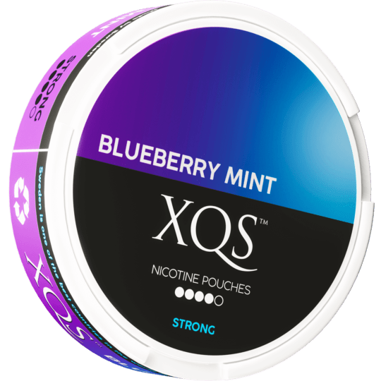XQS Blueberry Mint Strong