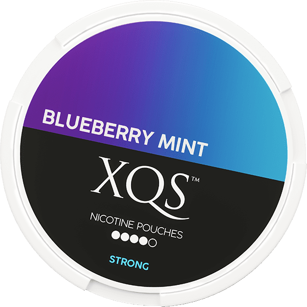 XQS Blueberry Mint Strong